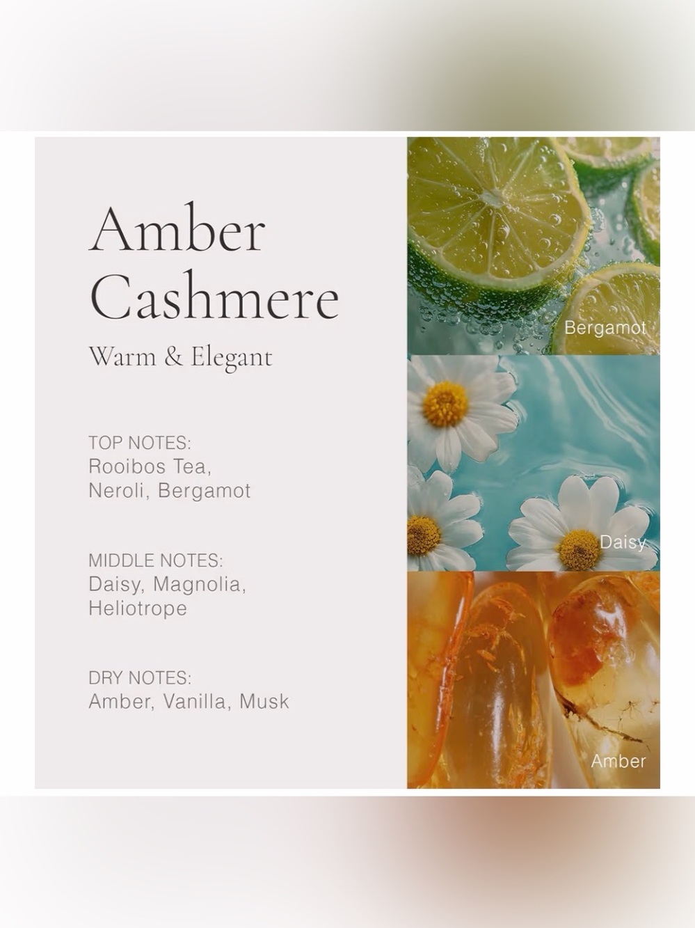 CLEAN Reserve H2EAU Collection Women's Fragrance Sampler - Aqua - Picture 10 of 12